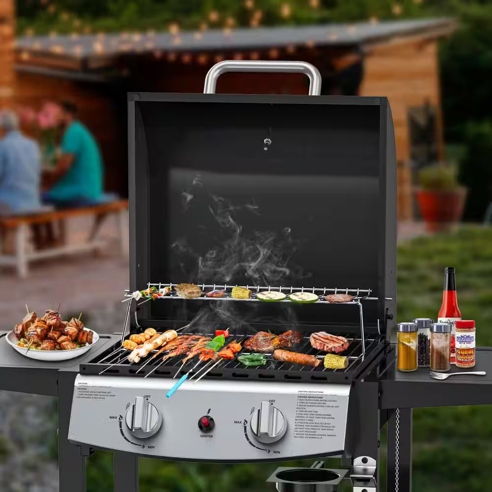 2 Burner Stainless Steel Portable Propane Gas Grill in Black