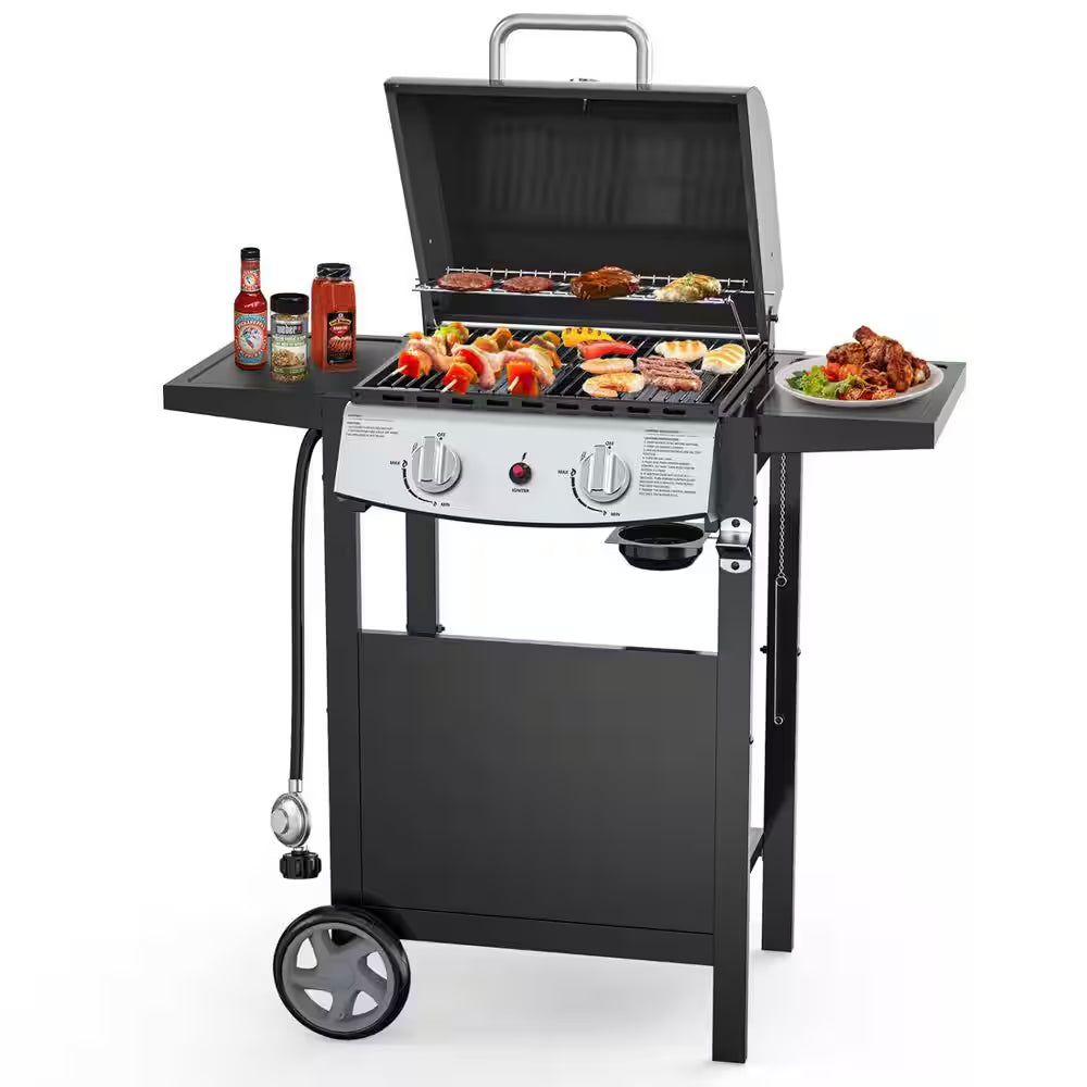 2 Burner Stainless Steel Portable Propane Gas Grill in Black