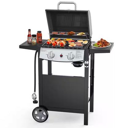 2 Burner Stainless Steel Portable Propane Gas Grill in Black